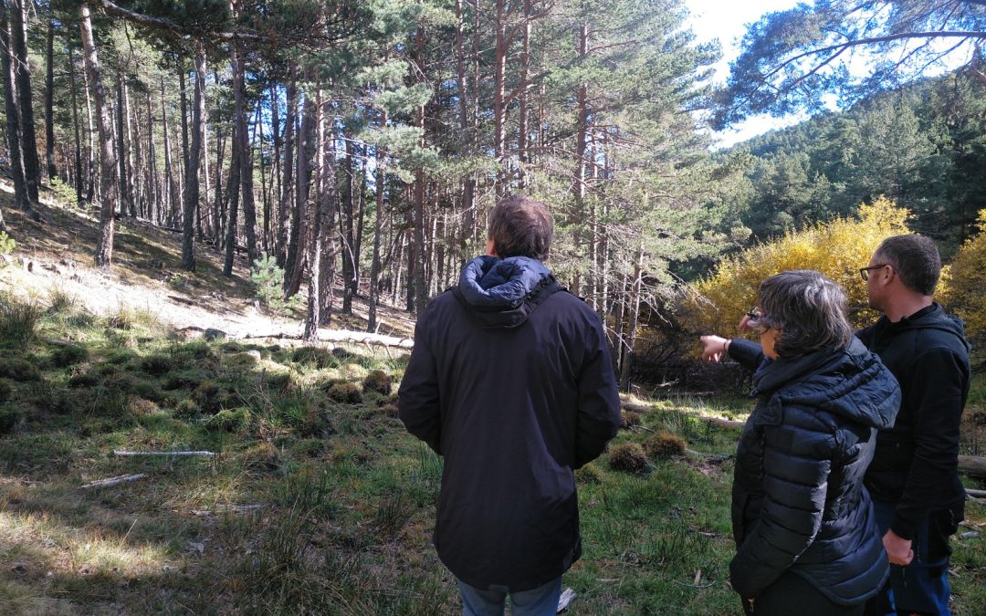 Integra Pirineus y Cesce suman fuerzas para llevar a cabo la primera actuación de Donem Vida al Bosc