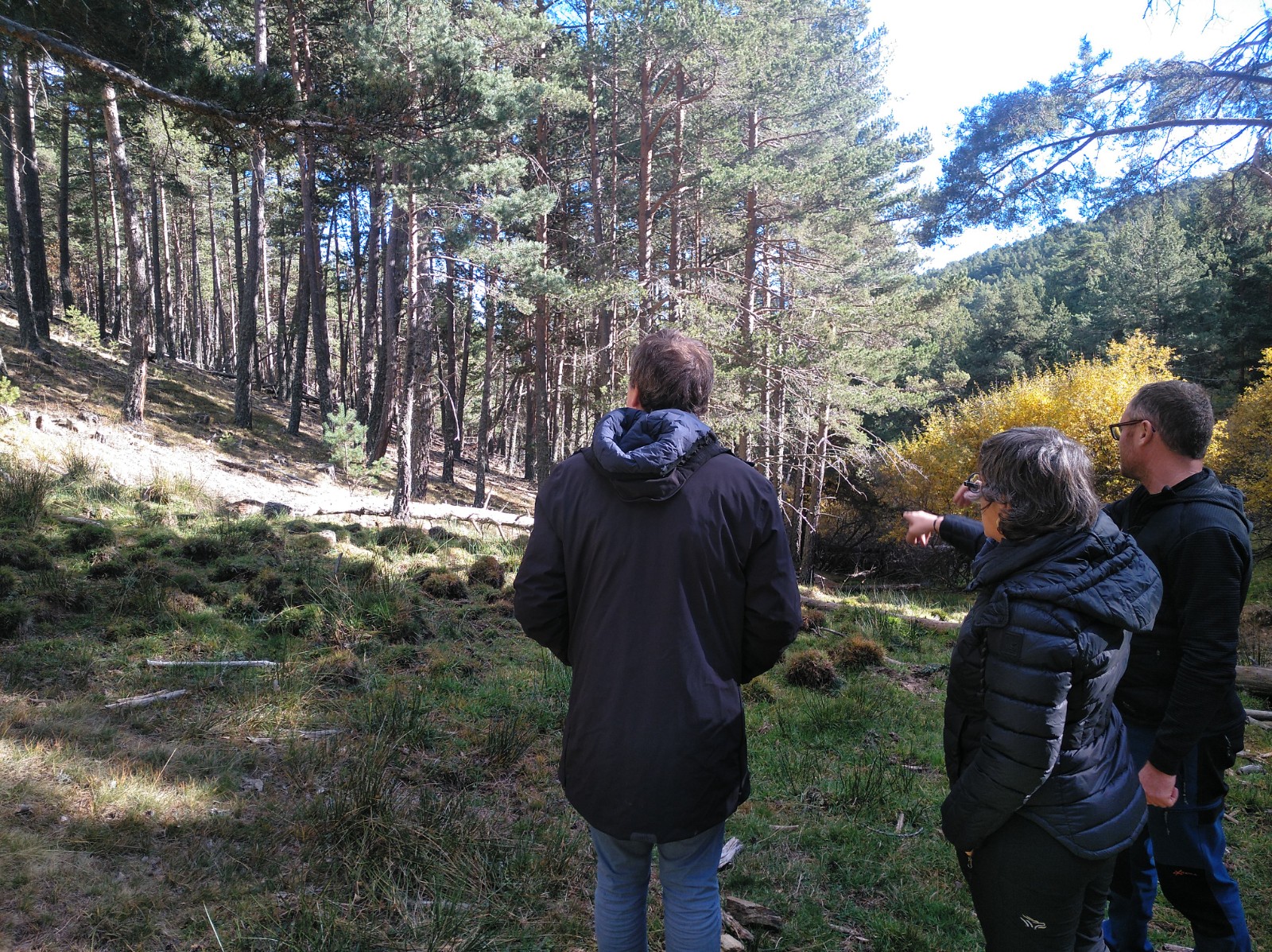 Integra Pirineus i Cesce sumem forces per a dur a terme la primera actuació de Donem Vida al Bosc