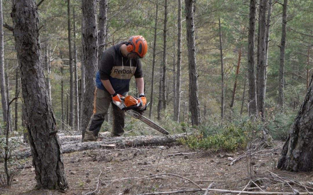 Integra Pirineus farà actuacions forestals al bosc de les Moreres amb el suport de Bon Preu Esclat i Worldcoo