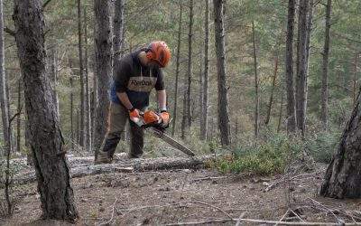 Integra Pirineus farà actuacions forestals al bosc de les Moreres amb el suport de Bon Preu Esclat i Worldcoo