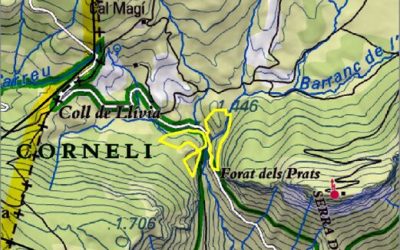 Integra Pirineus pròximament iniciarà una actuació forestal per a la prevenció d’incendis a l’enclavament del barranc de l’Obaga Negra, al TM de Coll de Nargó, amb el suport de EASA-European Association of Social Anthropologists / Asociación Europea de Antropólogos Sociales a través del Departament d’Antropologia de la Universitat de Barcelona